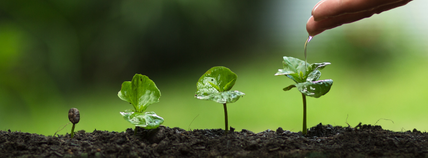 Growth