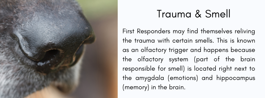 Trauma and smell